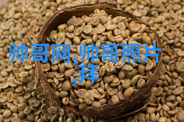 多彩民族盛会传统节日的欢歌与灯火