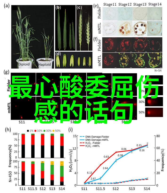 卡通人物可爱图片我是如何发现一张让人心动的超级兔宝宝表情包的