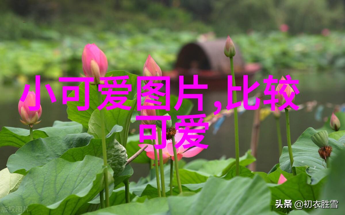 帅哥脚 - 英俊的足迹揭秘帅哥们的美丽脚部保养秘诀
