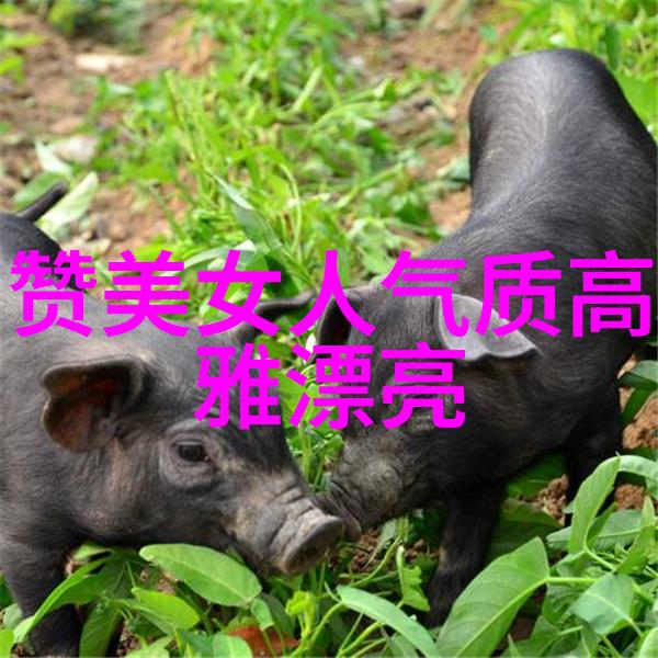 字源之谜汉字的起源探秘