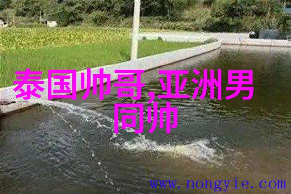 明星之旅探索名人世界的奇遇