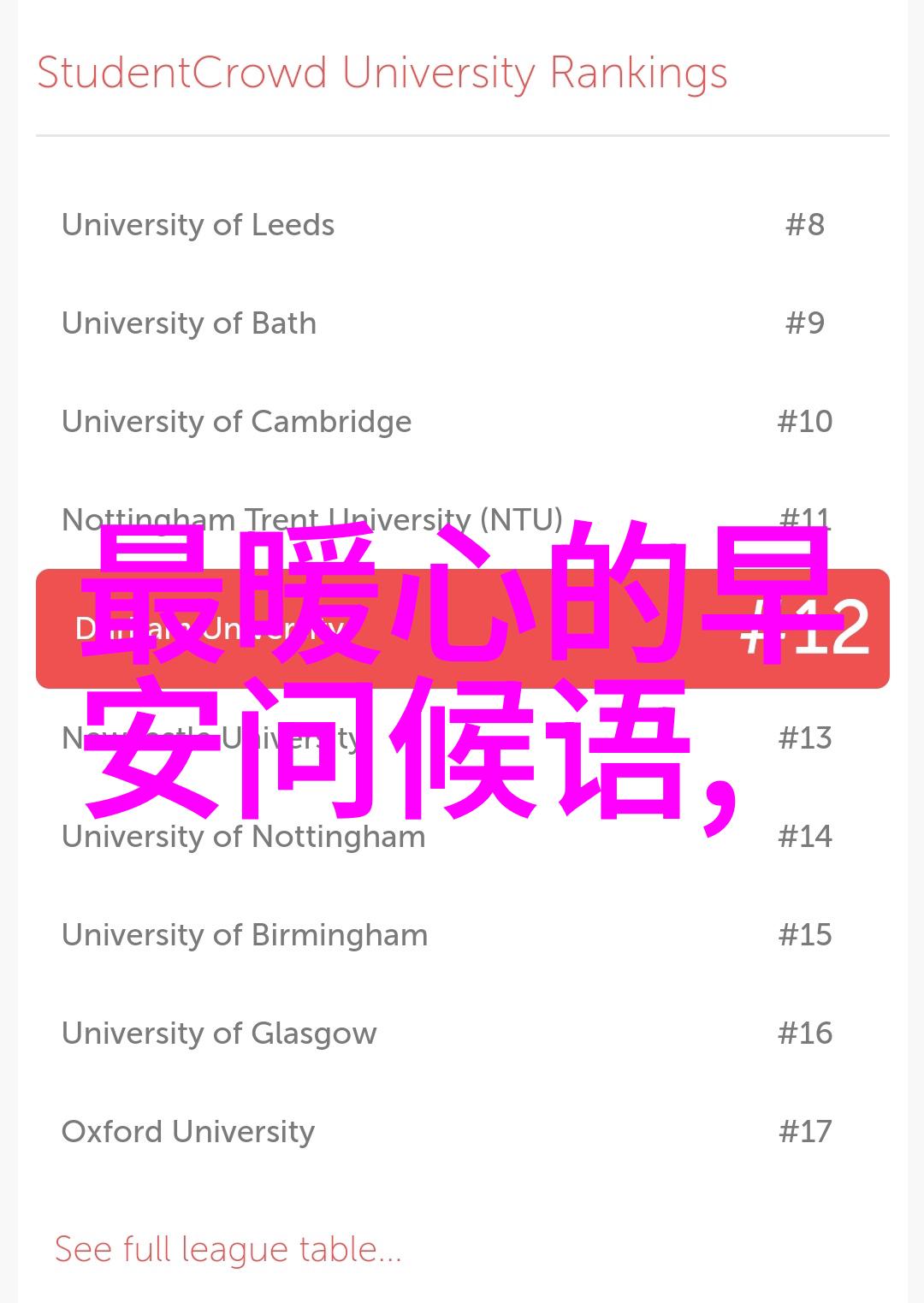 冬日绽放的爱情之歌