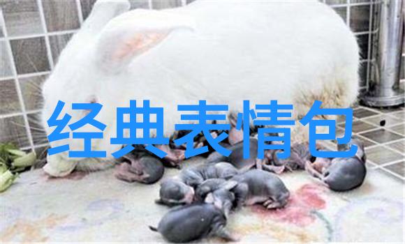男生有诗意的网名2018最新我的爱在繁华社会的角落遗失