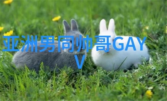 果然有一套免费图片文字提取器的神奇之旅