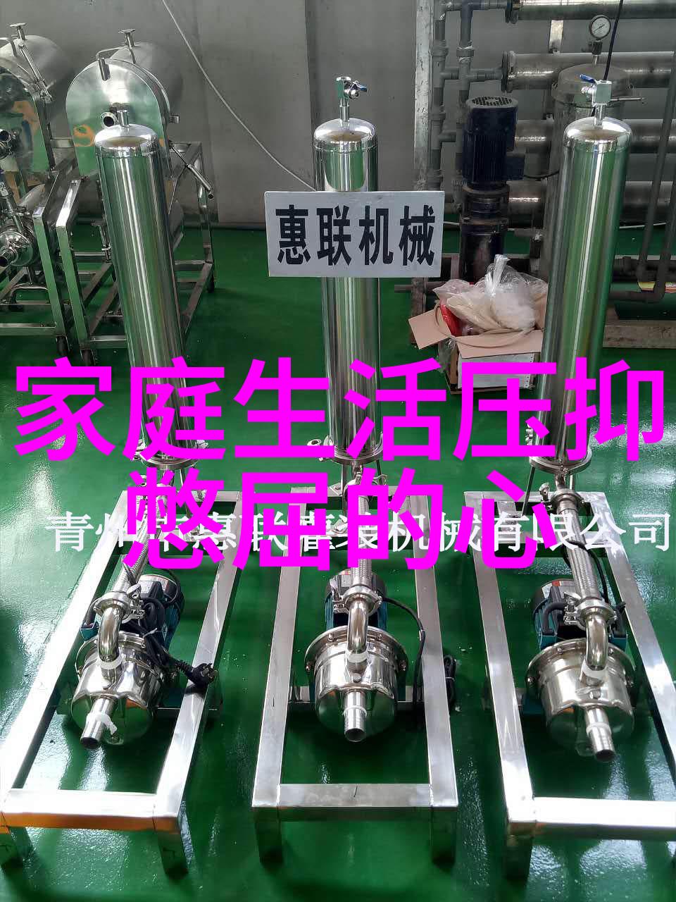 东岑西舅揭秘家族恩怨的全文免费阅读之旅
