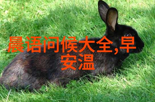 恶魔的小宠儿txt下载我的心灵的守护者