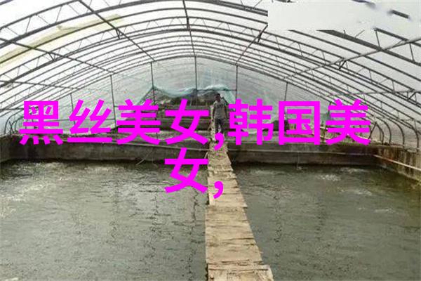 雪花中的温情冬季早安的话语