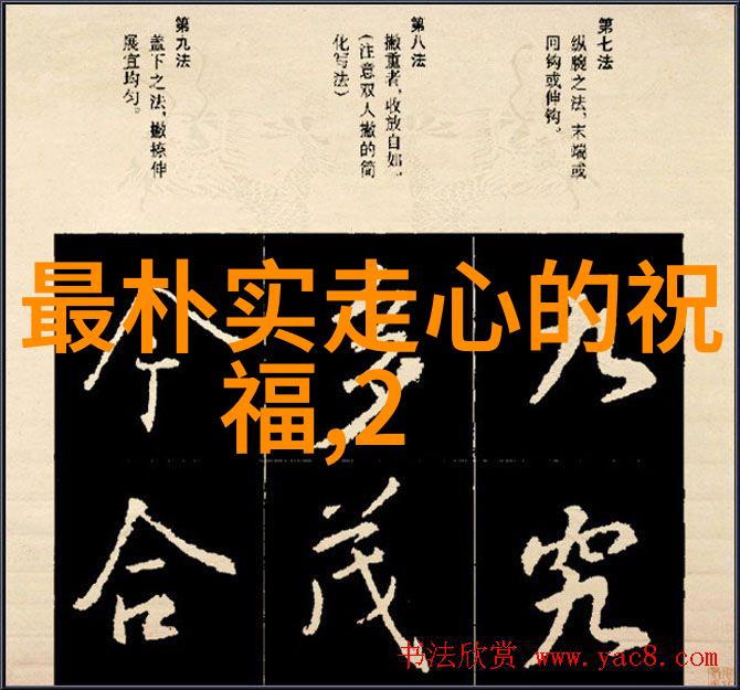 肌肉帅哥的魅力强健身躯与吸引力的综合体验
