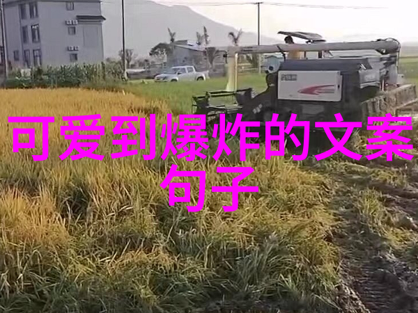 在那个遥远的古老森林里美女与野兽究竟拥有什么样的秘密相守