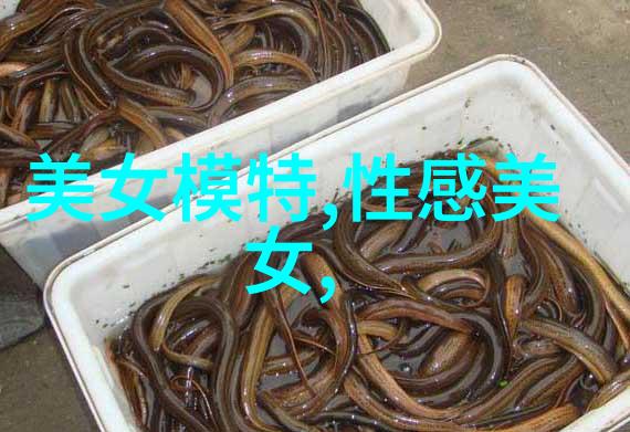 春夏秋冬一年四季的不同风格跟随时尚潮流变换你的服饰色彩和款式配搭