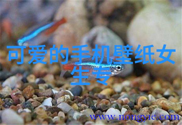 万圣夜的历史与文化万圣节万圣节派对鬼脸面具糖果换取