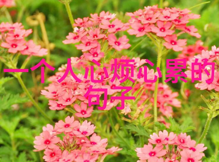 生活说说很现实的说说分手吧我让你感觉累了