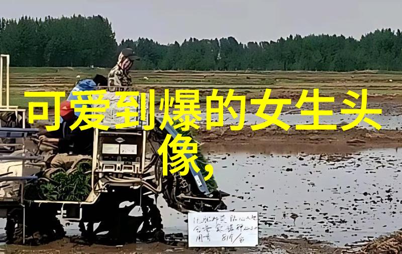 它们如何帮助我们保持对自然之美的心态敏感度