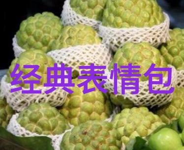 社交圈子的秘密花园单身交友群的奇妙世界