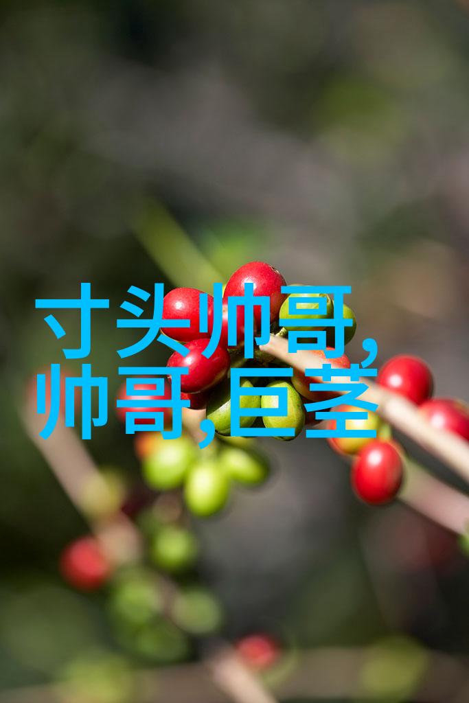 母慈子孝天伦之美的探索
