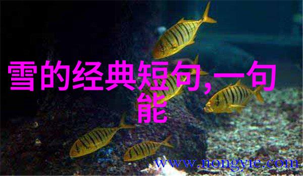 跨越时空传递爱意我今天如何才能让您开心