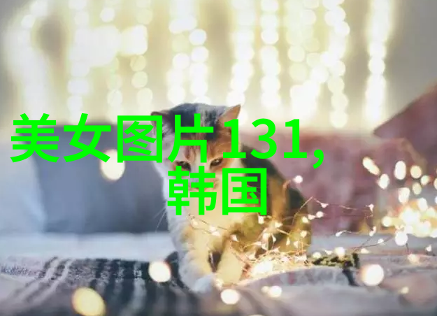 星光之师明星的鼓励力量