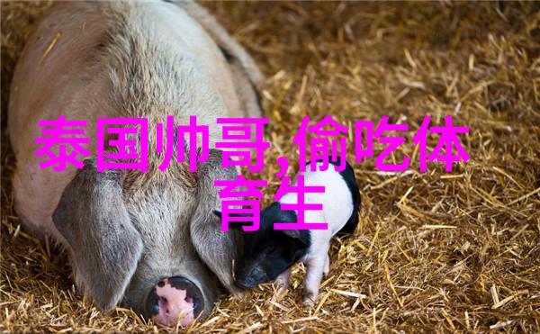 5千元小投资加盟店背后的斗鱼美食主播张大龙揭秘被封直播间真相与刘小七的节奏对决