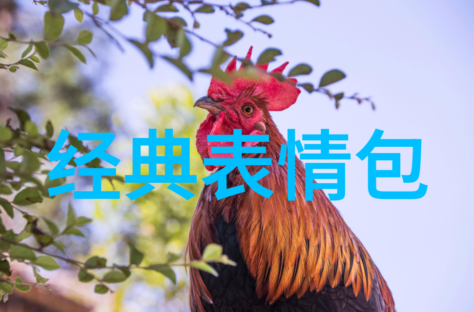 微信整人恐怖gif笑中藏刀的网络幽默与恐怖交织