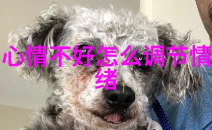 美女艺术我眼中的美从画布到生活的艺术探索