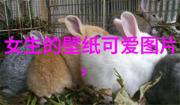 冰山男神潮流与孤寂的网名故事