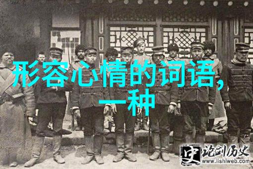 情感成熟度测试揭秘成年人的内心世界
