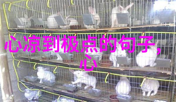 无与伦比的美丽 电视剧以家人之名大结局杨童舒回应陈婷人设争议揭秘幕后故事
