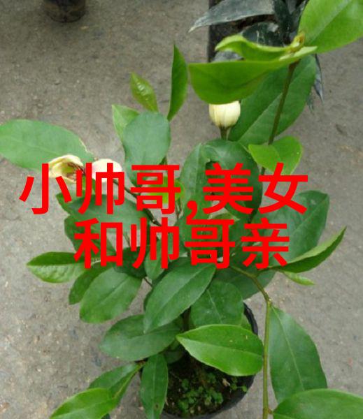 早晨启航温馨问候语带你迎接新日出