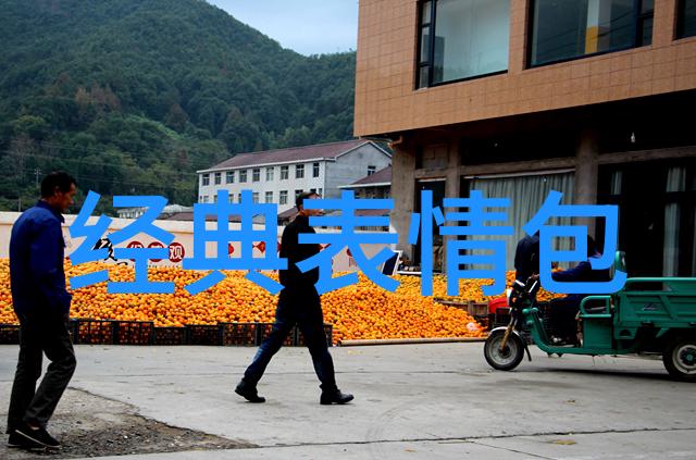 塑料排水板下的洒脱与坚持28句共鸣心语