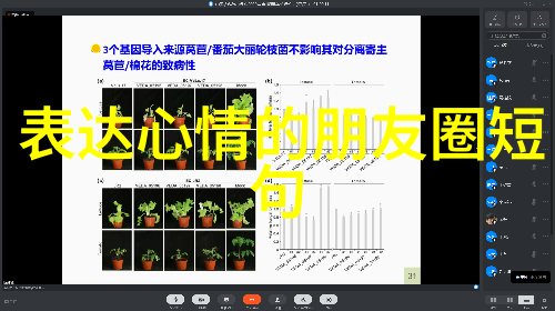 能不能通过科学方法来分析和预测哪些组合更可能带来幸运和金钱流入