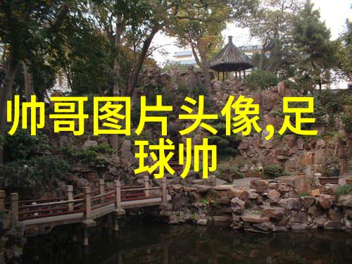 足球帅哥我的偶像李显鹏的魅力与挑战