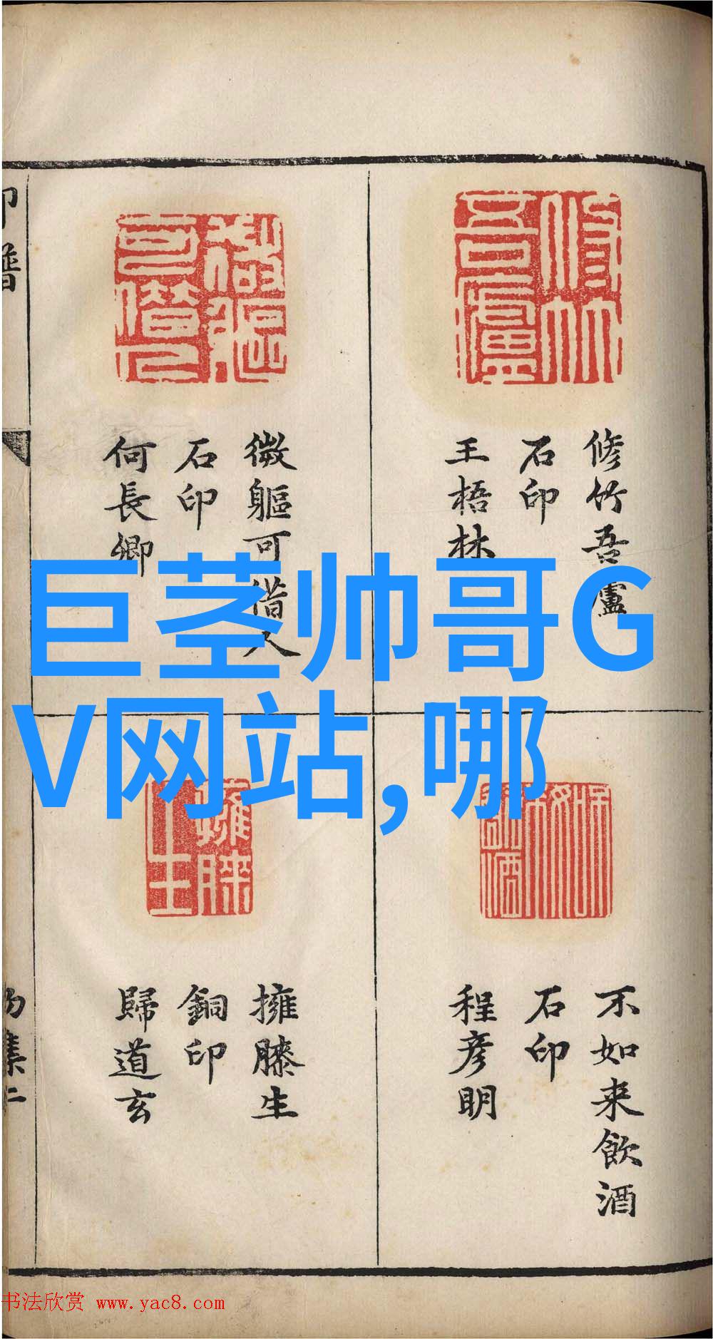星光下的谜团揭秘明星大侦探第六季全集免费观看的秘密