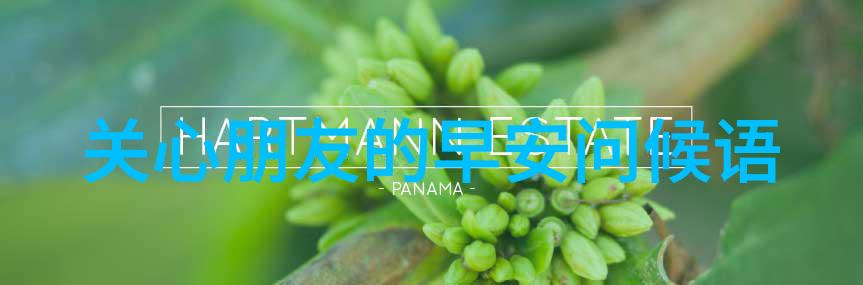 中国节日文化的演变与现代意义探究
