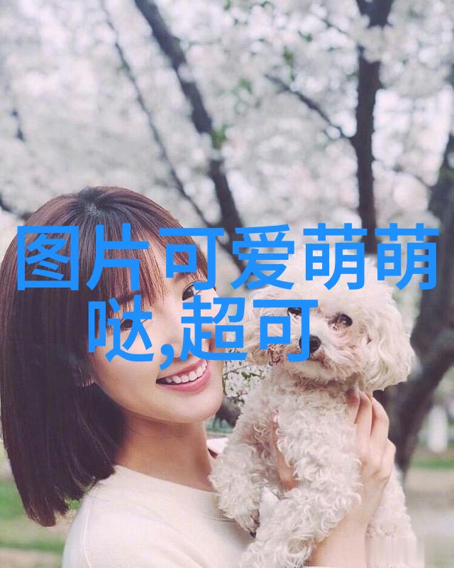 韩娱看点黑暗荣耀导演承认校园暴力 曾与好友殴打对方长达2小时变为电视剧才不要和老板谈恋爱导演如同夜晚