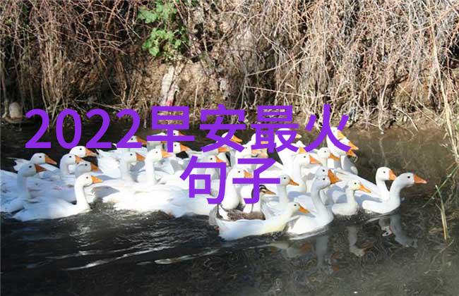 这些日本老司机认识舒淇一组黑白写真吗