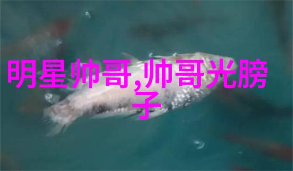 每天早安问候语-晨曦中的温馨问候探索日常生活中的早安文化