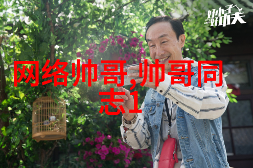 银屏下的浪漫帅哥网的故事