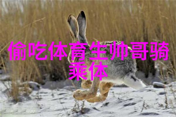 心情低落时的自我抚慰轻松缓解情绪波动的妙法