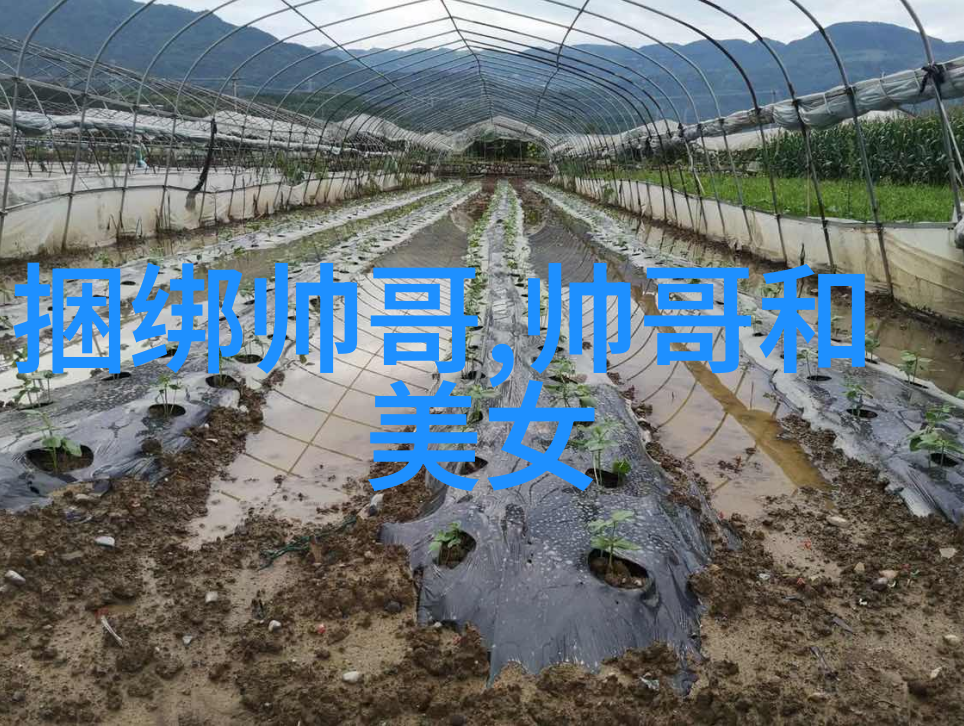 节日作文600字初二 - 欢声笑语中的春节初二生的祝福与记忆