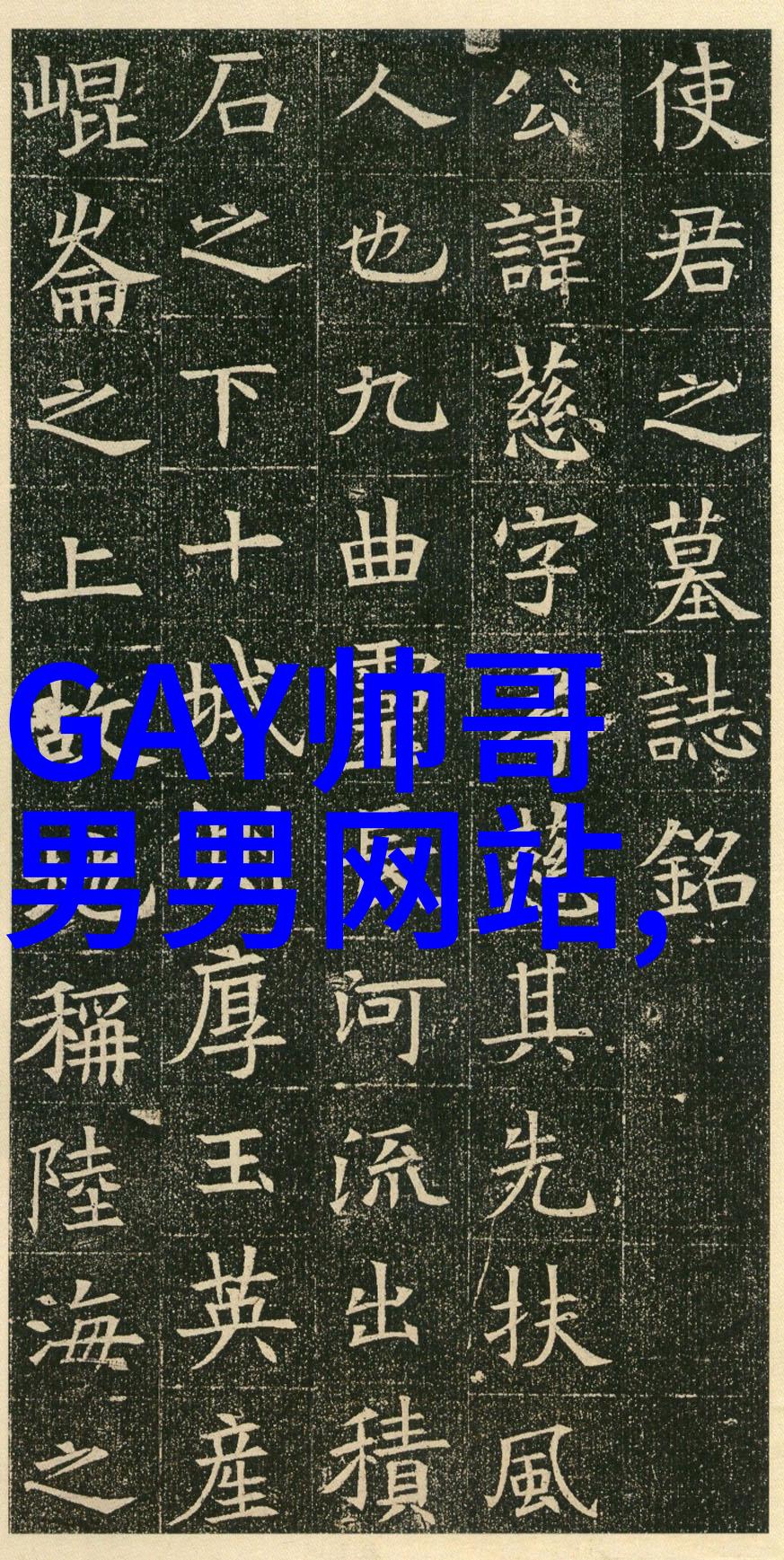 如何通过政策引导来推动明星电力的普及使用