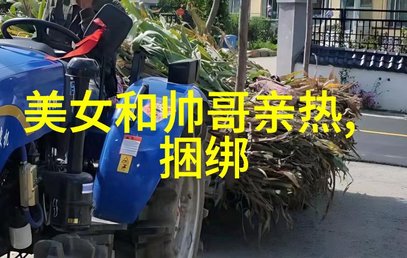 人情淡薄的真相深度剖析揭秘人际关系中的虚伪与真诚