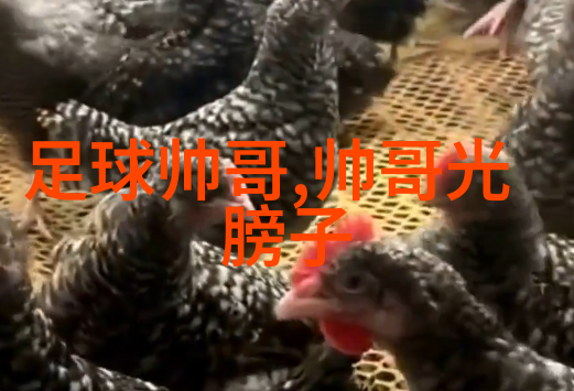 超长篇纪实一场时间的跳跃与沉淀