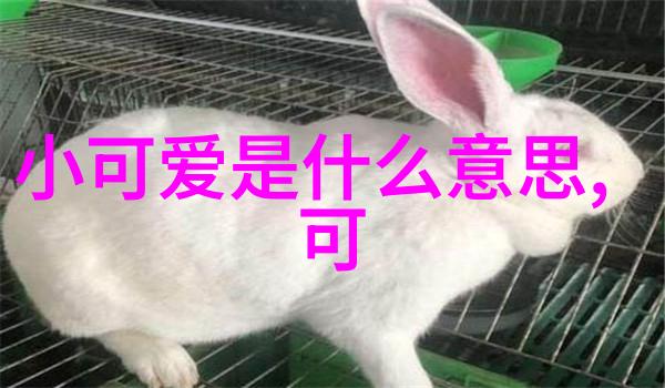 彩虹糖果中的小精灵