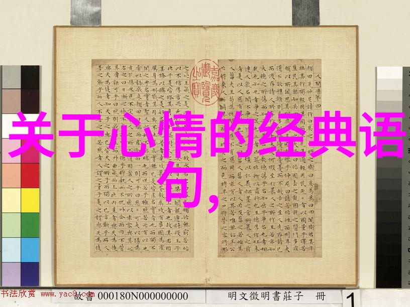 主题-字幕猎手揭秘电影偷中文字幕的黑暗世界