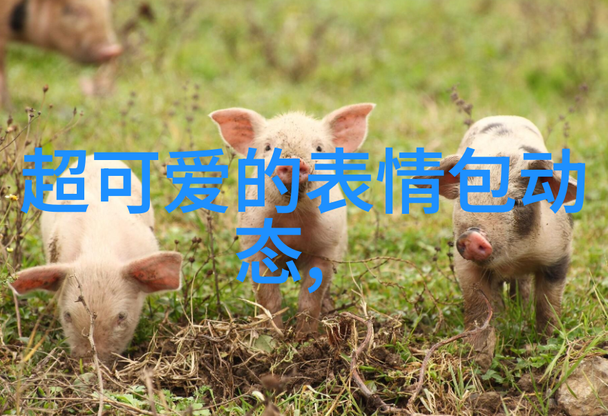 古风微信名字女生清冷孤傲古韵唯美网名大全