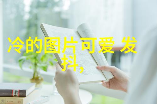 冬日庆典-12月的节日寒风中的温馨与欢声