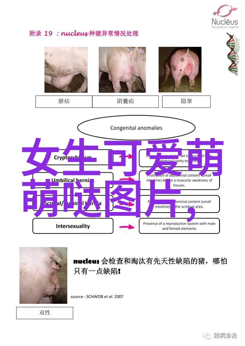 全明星对决最强球员谁能胜出