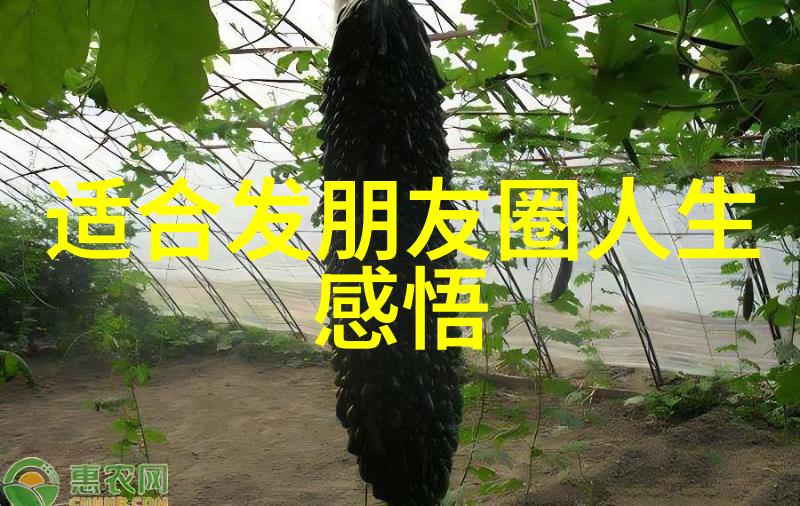 简短好看的英文网名仿佛是网络世界中最酷的个性化身