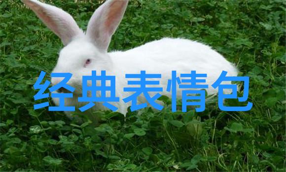深情绵绵的拥抱