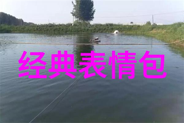 12月24日圣诞前夜的温馨回忆
